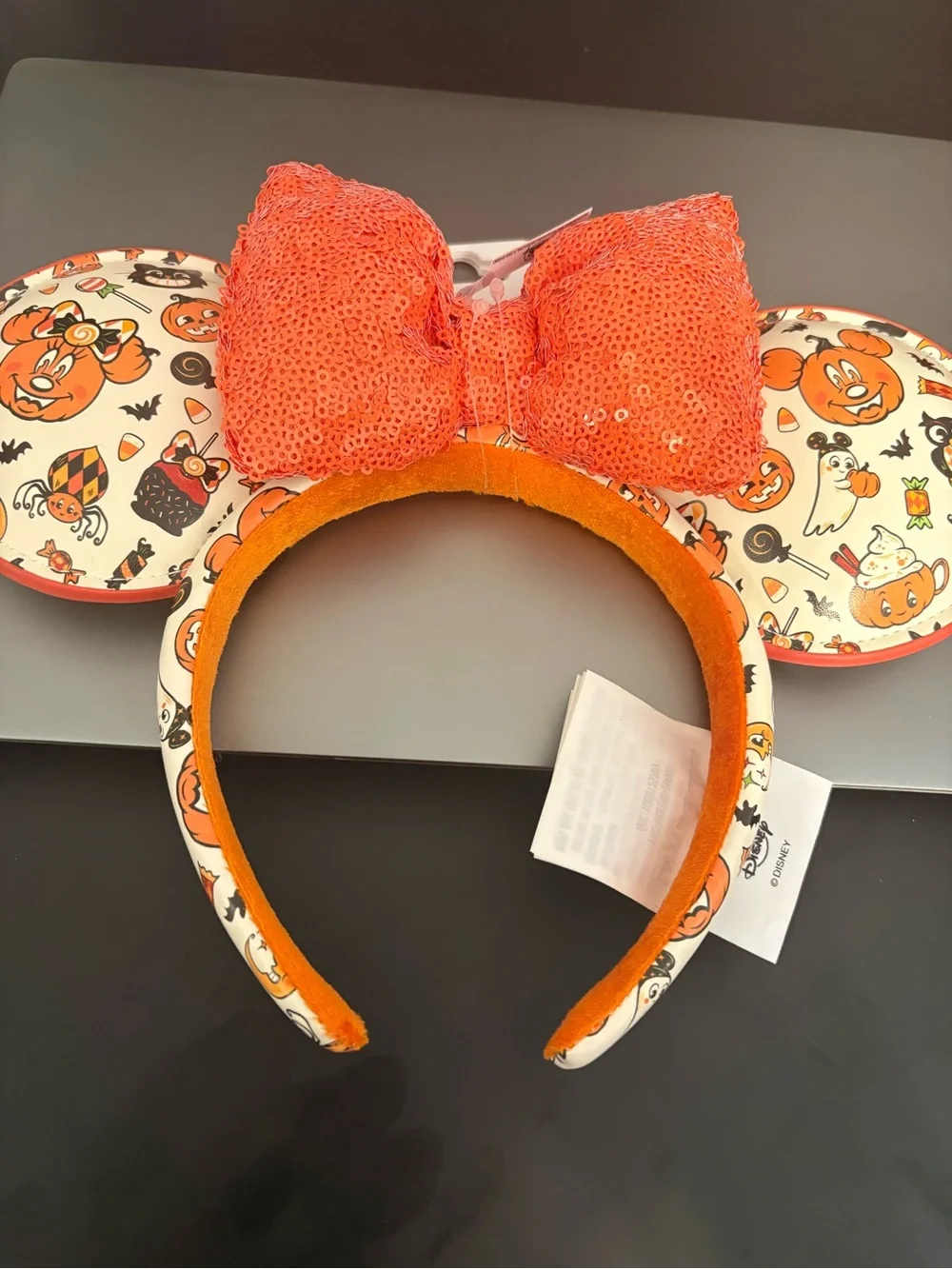 Disneyland Resort you won